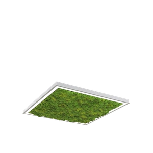 Изображение Глоу Мосс квадрат встраиваемый