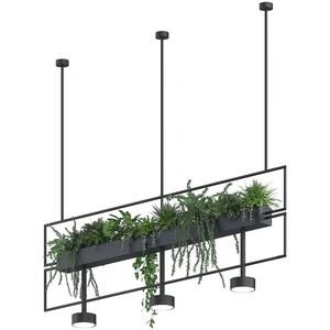 Изображение Плант №11 подвесной